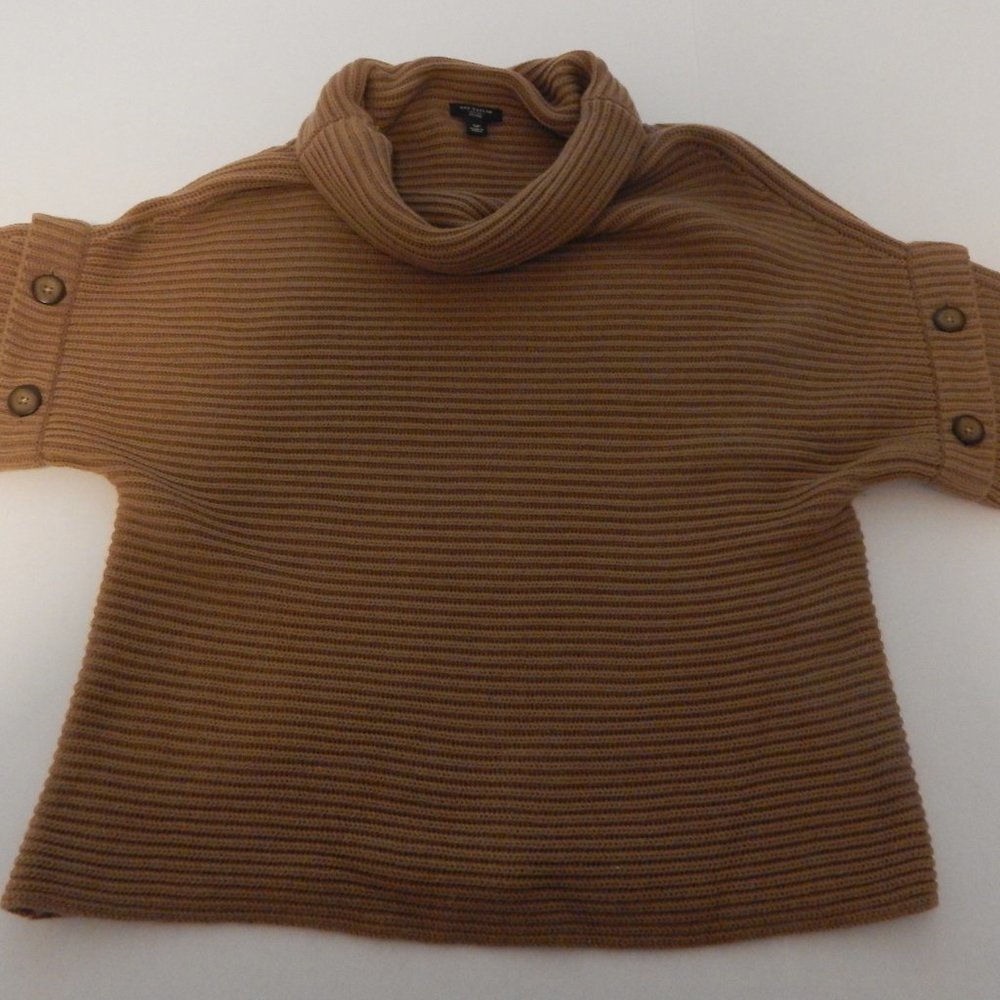 Ann Taylor Petite